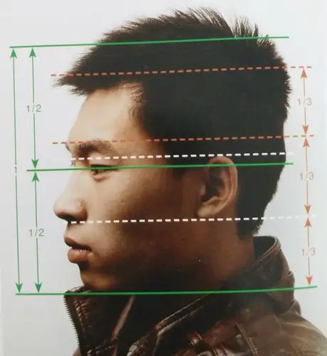 素描头像理论篇五头像中的透视规律