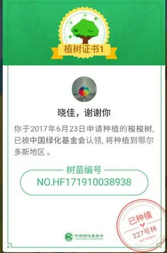 我与蚂蚁森林的故事