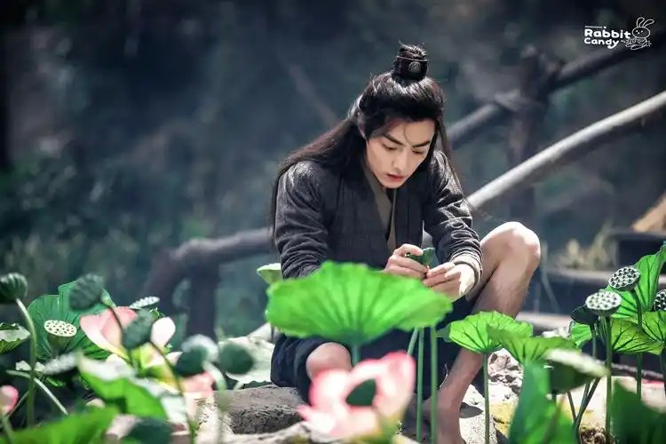 rabbitcandy·肖战 - 堆糖,美图壁纸兴趣社区