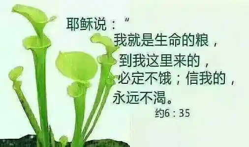 感谢主!愿你的爱永远与我们同在!我们永远像小孩