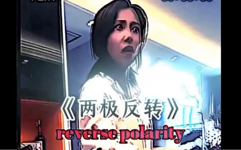 《两极反转》