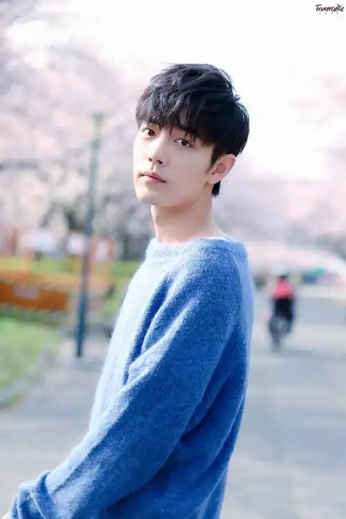 肖战蓝色壁纸背景头像日本樱花少年