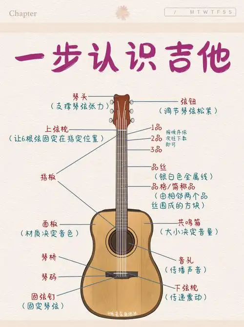 本期笔记用直观的吉他教学教大家学会吉他的基本结构和对琴弦的泉知