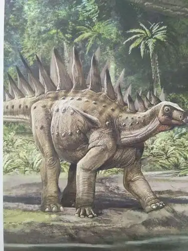 东盛小学一年四班于松冉第十四期读书会――它们恐龙时代