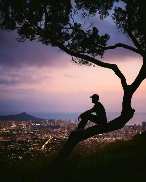 原创独处是最高级的自律形态