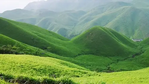 武功山之高山草甸