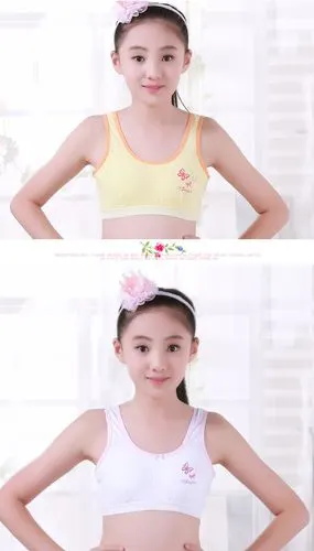 春夏女童发育期小背心中大童小学生无钢圈背心式运动文胸现货批发