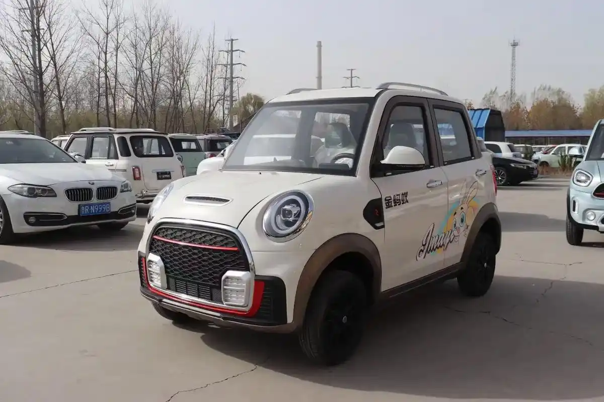 金蚂蚁高端电轿#新能源低速电动汽车 #四轮低速电动车 #老年 - 抖音