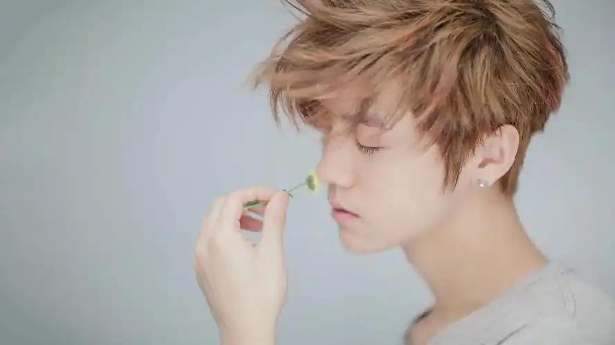 明星大陆鹿晗明星风尚壁纸