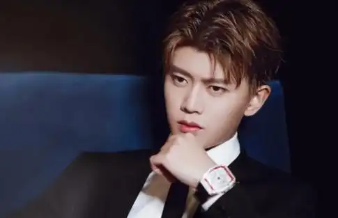 男明星排行榜100名 (中国男星前100排行榜)