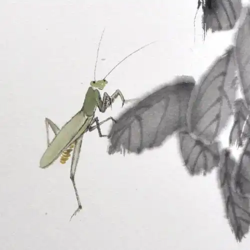 刘万均《螳螂》四川美术家协会会员