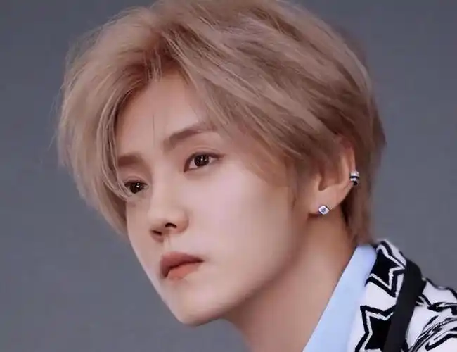 "顶流"鹿晗:时代离你而去的时候,是不会打招呼的|exo|关晓彤|娱乐圈