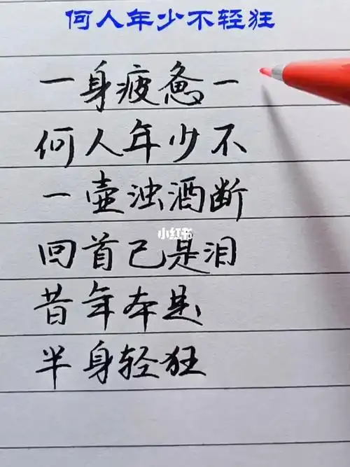 何人年少不轻狂