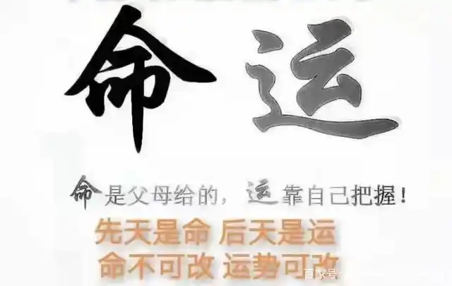 八字综合