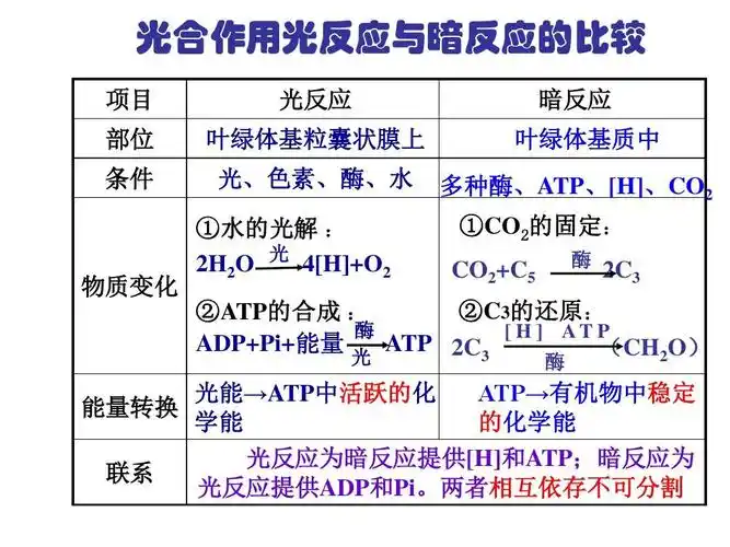 4能量之源-光与光合作用 (3)ppt 光合作用光反应与暗反应的比较 项目