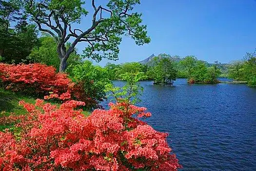 风景花女人美女中国元素孩子自然室外天空创意静物时尚家庭男人人生活