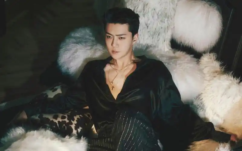 【exo】"cream soda" 单人预告