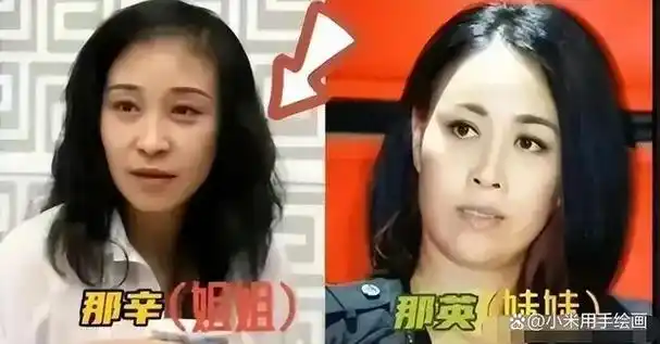 中国好声音的创始人那辛她到底有多厉害