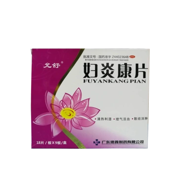 治慢性盆腔炎药 白带过多发黄异味阴道瘙痒小肚子痛妇科炎症消炎药 三