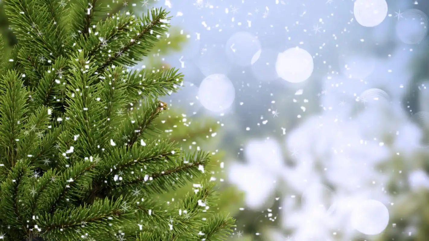 淡蓝色唯美雪花高清桌面壁纸