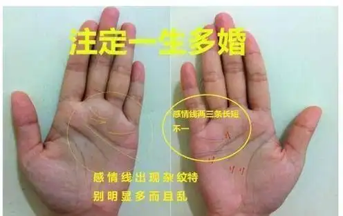 要仔细的观察才能够看得到每个人的婚姻线会各有不同,不管是从形态上