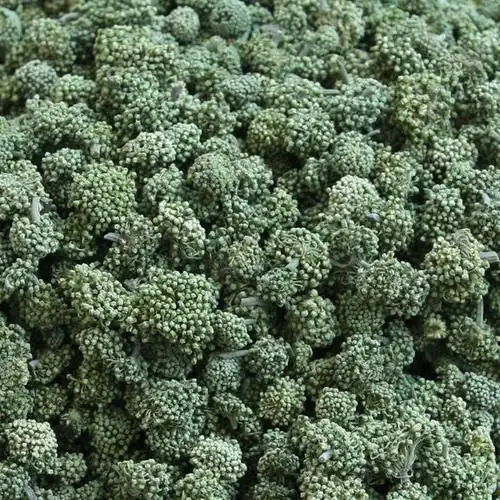 云南文山特产新四年三七花 田七养生花茶100克500g产地直销 包邮