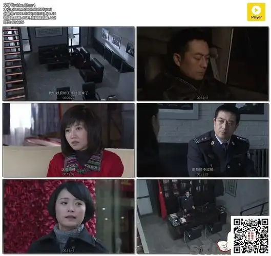 [中国][2011][沉默][张嘉译/刘钧/金鑫/梁天][25集全][国语中字][mp4