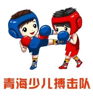 翼虎搏击武术跆拳道培训