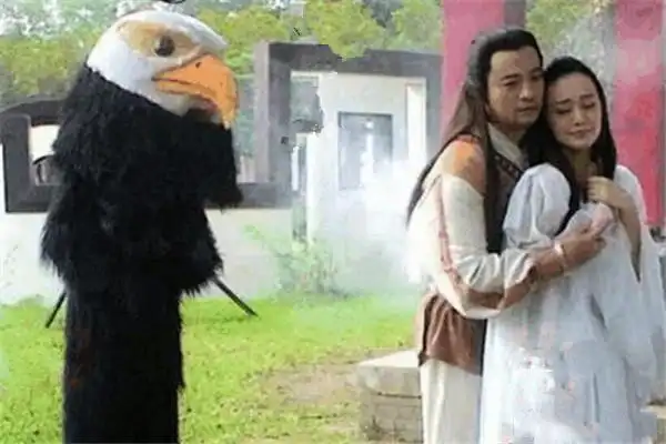 神雕侠侣中那些神奇的雕兄们