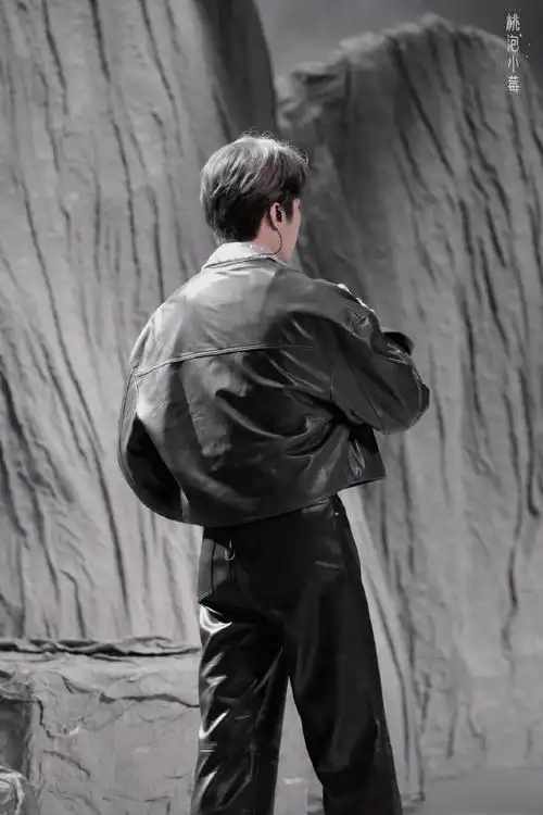 刘耀文下车背影