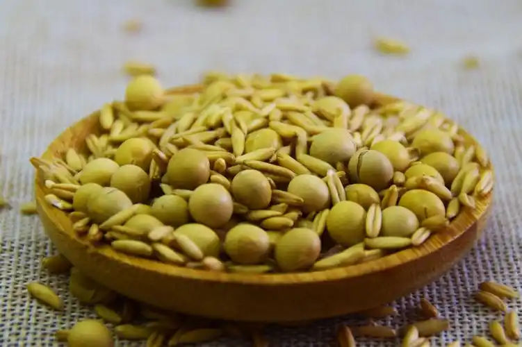 现磨五 谷豆浆原料 磨五谷豆浆包 低温烘培五谷杂粮 原味豆浆原料