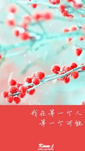 我在等一个人 等一个可能