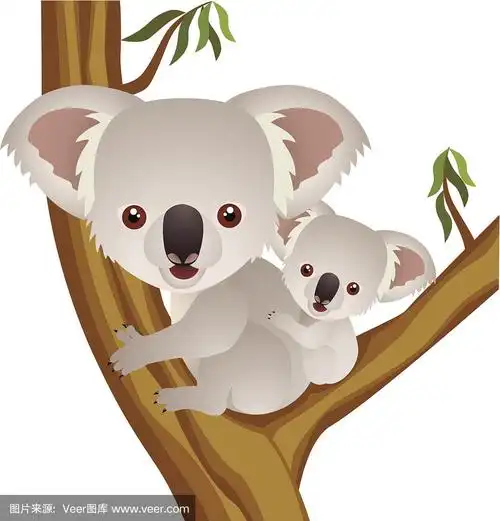 卡通形象的可爱的考拉和它的孩子在桉树