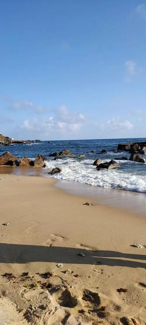 海南,人们向往的地方,美丽的沙滩,浩瀚的大海,岸边的礁石,挺拔的椰树