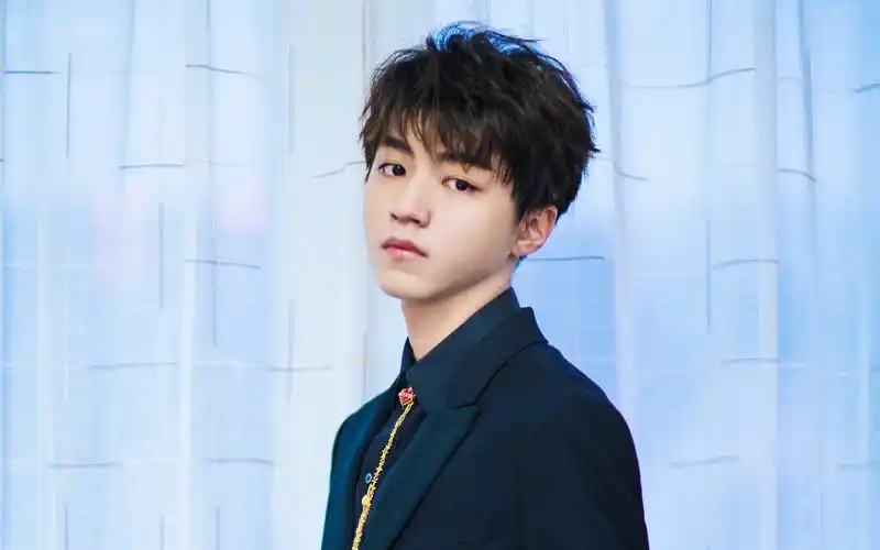 帅哥,tfboys,王俊凯,明星,帅哥,电脑壁纸,壁纸偶像男神王俊凯