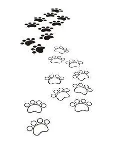 小脚印简笔画小鸭脚印简笔画