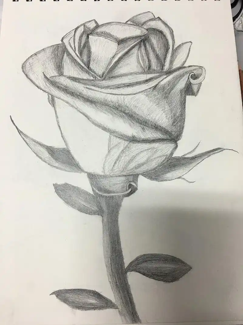 简单漂亮的素描图片素描初学简单图片