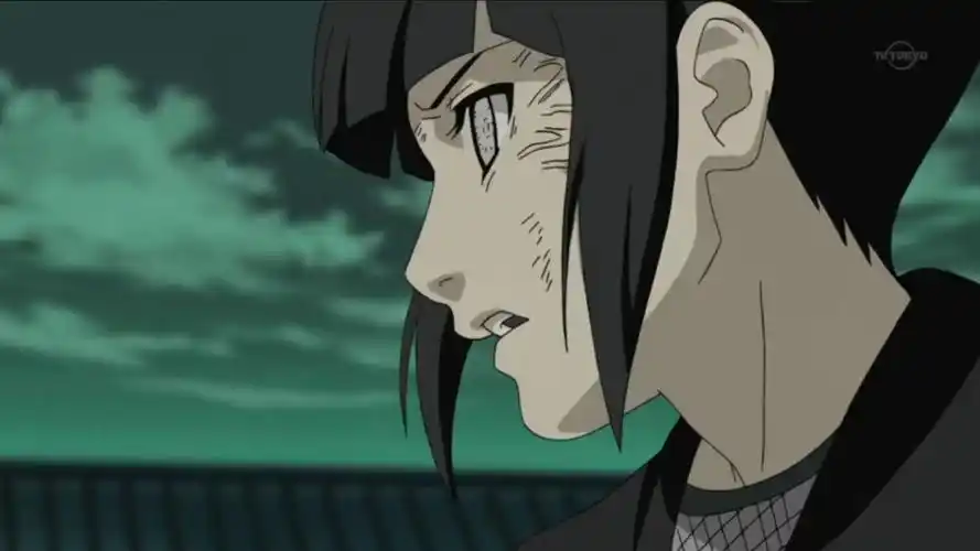 日向雏田的出场集数有哪些