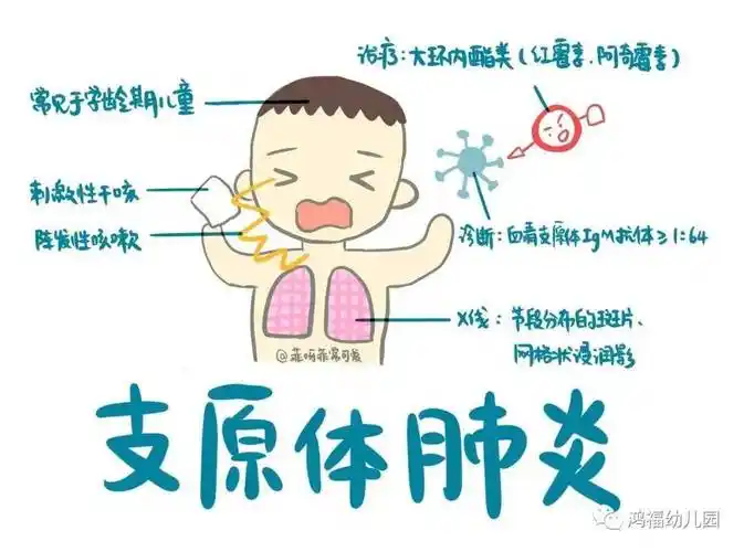 【扬一金苹果鸿福幼儿园】——健康同行|支原体肺炎预防知识宣传_症状