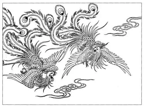 鸟简笔画简笔画凤的步骤简笔画凤的画法古代龙凤呈祥白描简笔画凤凰简