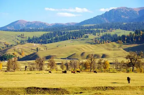 却有着不同一般的秋日美景宁静安详的草原美景夕阳下柔漫起伏的山坡