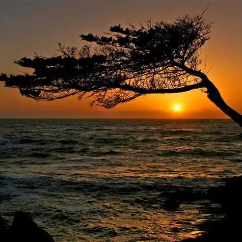 2023清新唯美风景头像_风景头像_头像大全_抖音头像_微信头像_库尔图