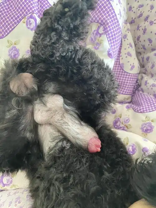 图在下面,可能有些不适来自:阿巴阿巴2021-08-08 15:28:26