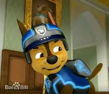 p>阿奇(chase)是动画片《汪汪队立大功》中的角色,是一只德国牧羊犬