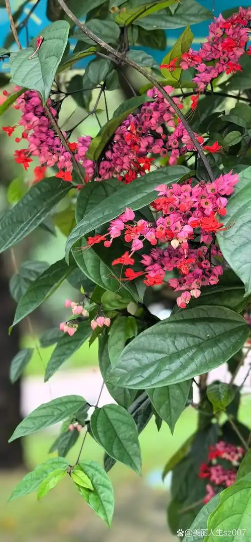 1,世上最愚蠢的行为,就是跟别人讲理,永远记住:位置不同,少言为贵