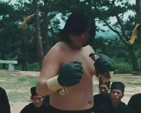 同样是秀肌肉,吴京霸气,甄子丹勇猛,洪金宝的不可言喻_李连杰