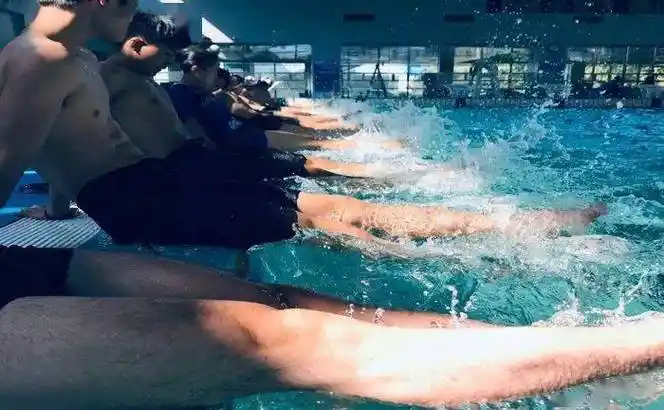 如何让自由泳越游越好