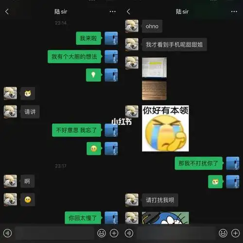 淦我一边看小红书一边和他讲土味情话 讲到一半 他跑了!他去学习了!