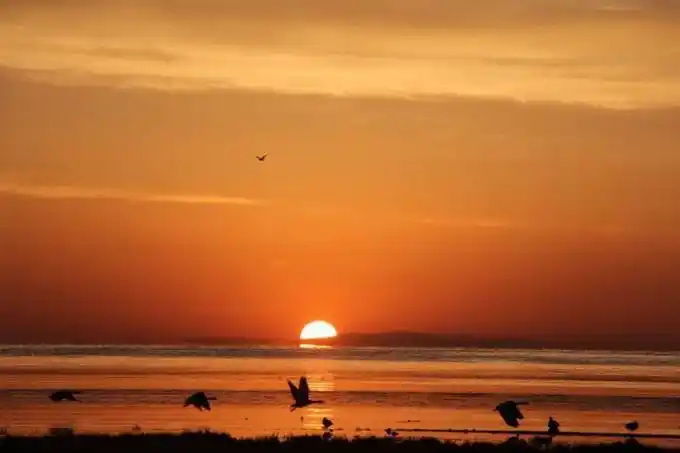 西海情歌创作背景的故事