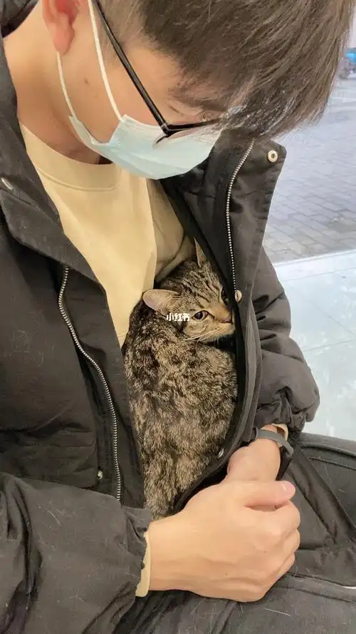 万小孩躲男朋友怀里续集